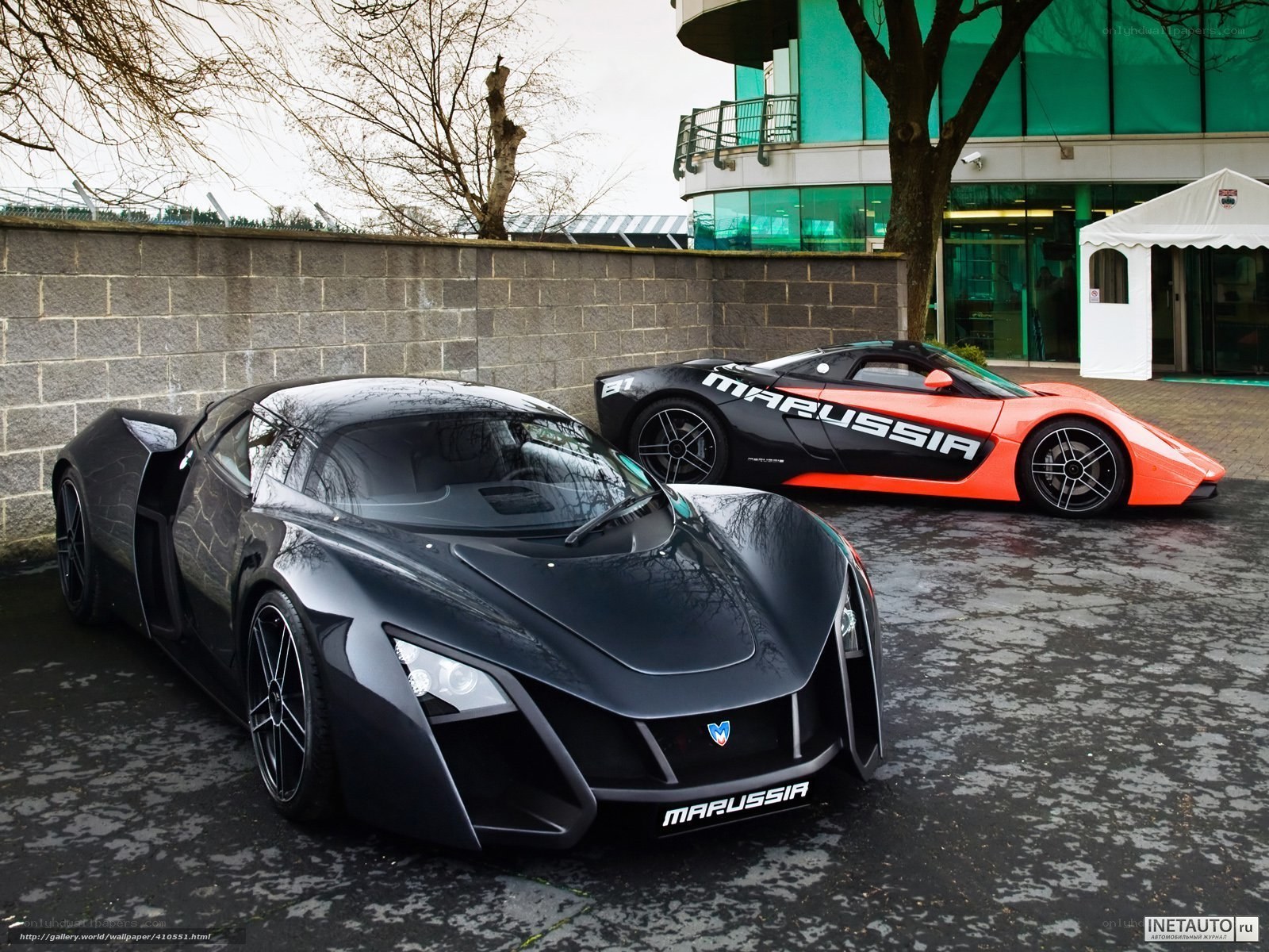 Two Marussia sports cars