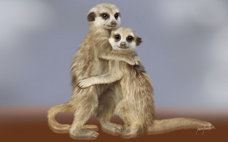 Two Meerkats Hugging — Beige
