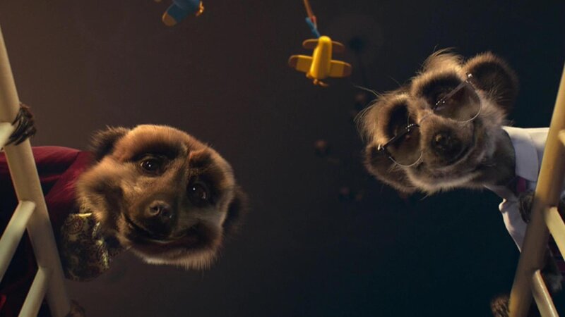 Two Meerkats in Crib