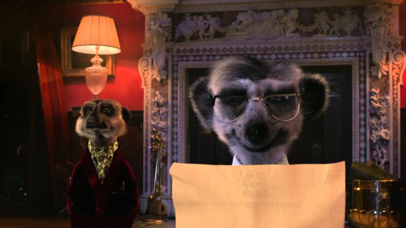 Two Meerkats in Formal Wear