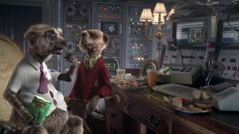 Two Meerkats in Office