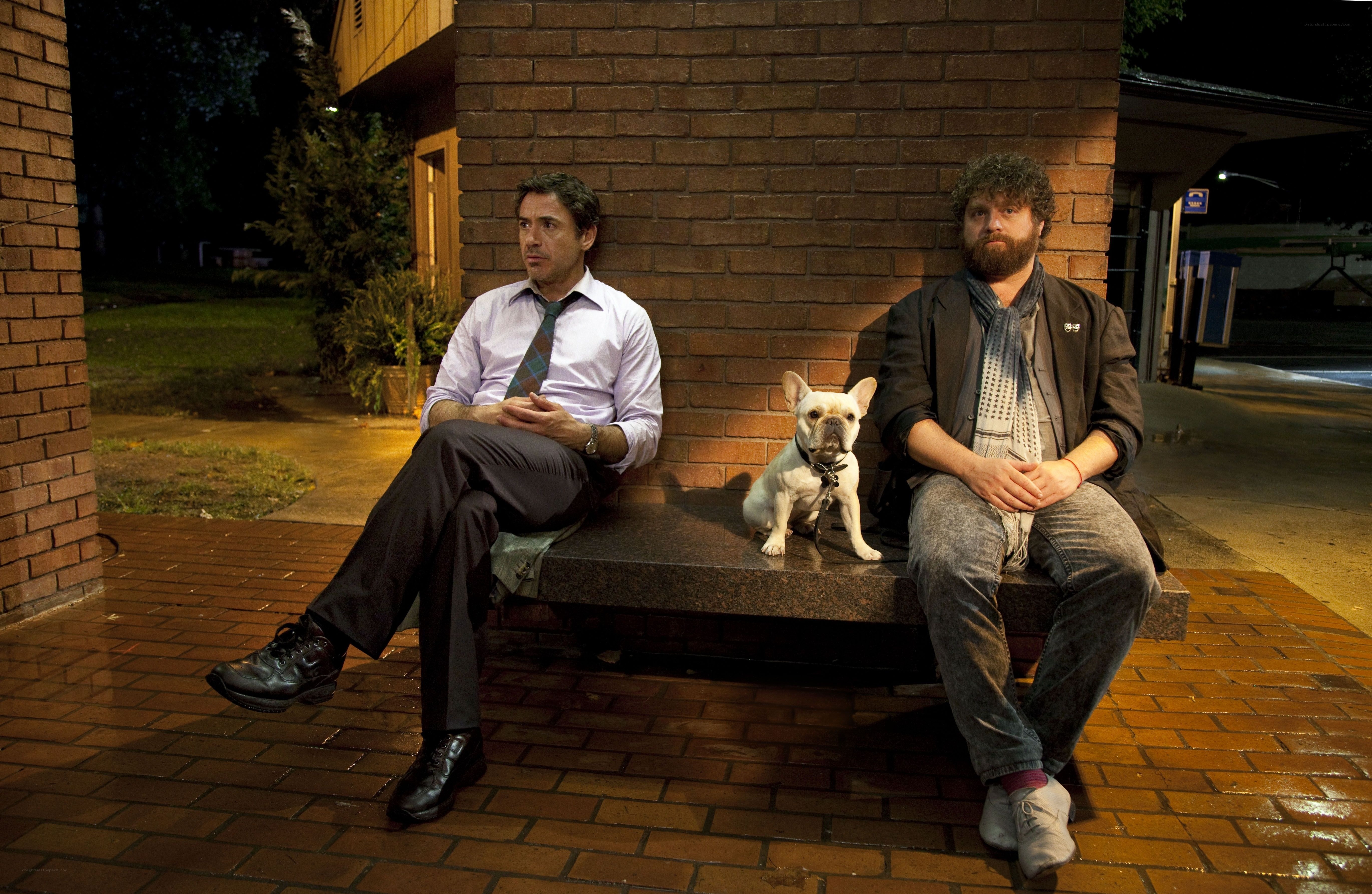 Two men and a dog on a bench