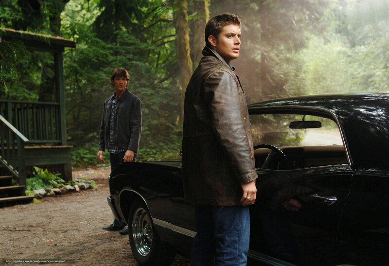 Two men by a car in the woods