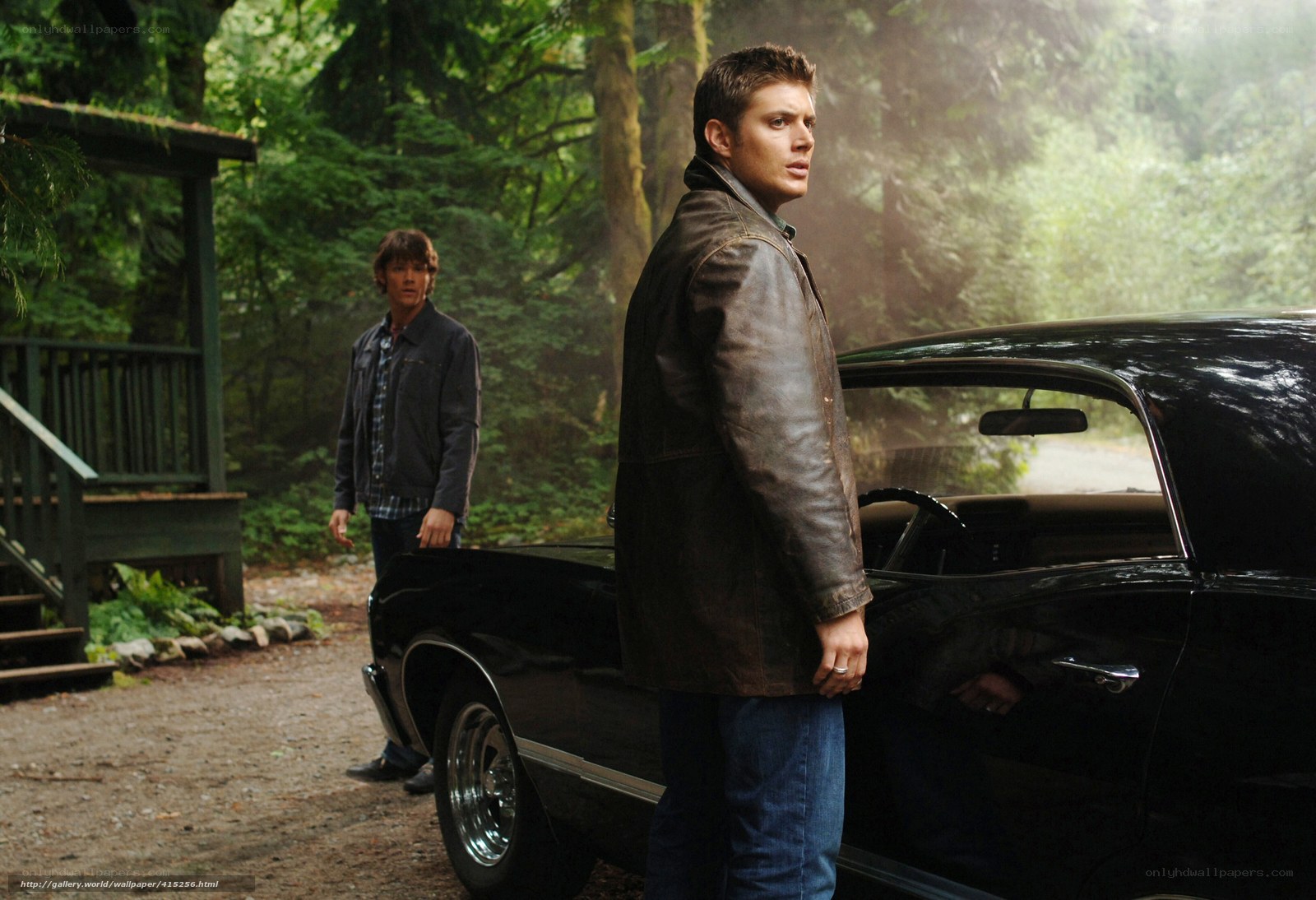 Two men by a car in the woods