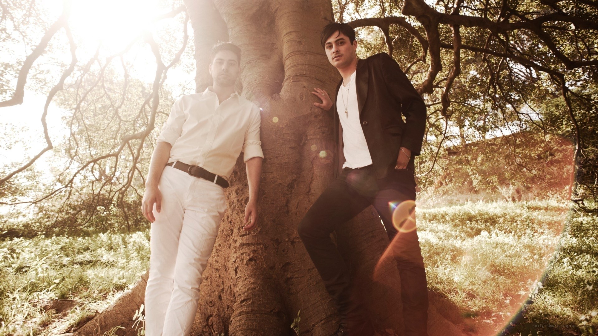 Two men by a tree