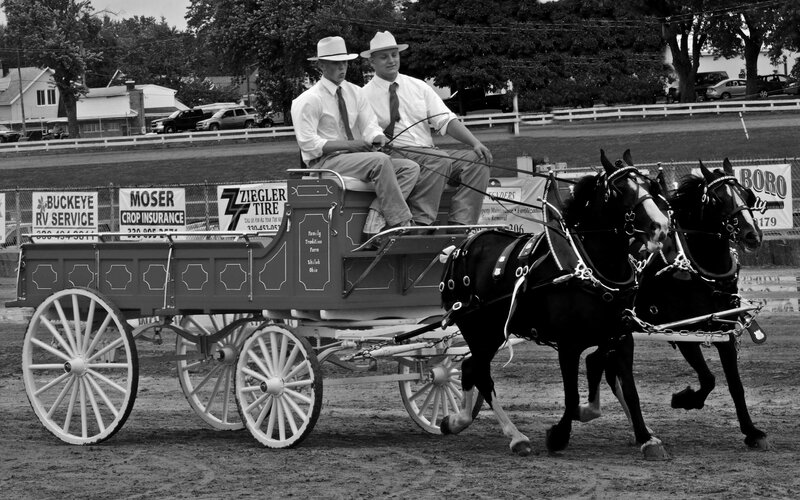 Two Men in a Carriage