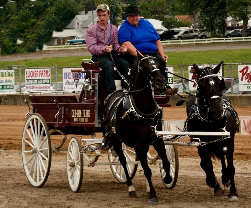 Two Men in a Horse-drawn Carriage