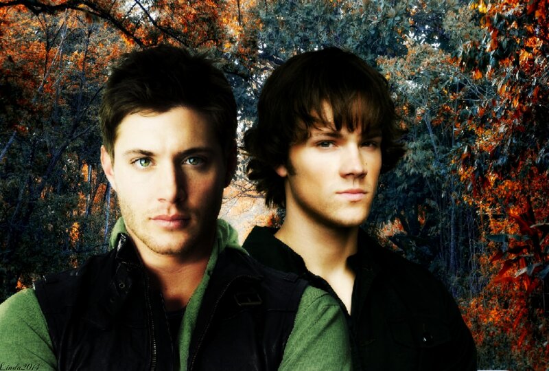 Two Men in Forest — Orange