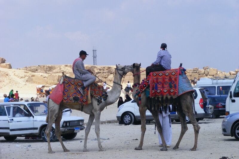 Two Men on Camels