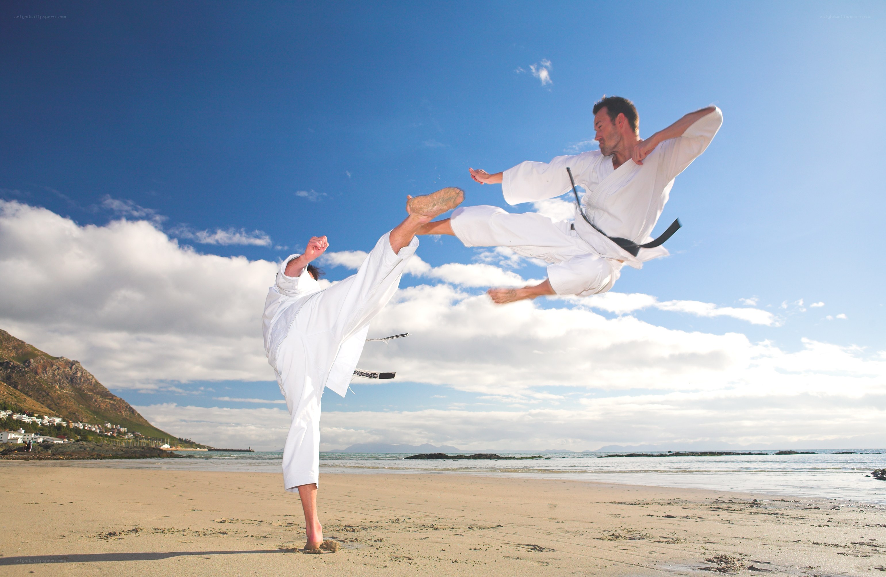 Two men practicing martial arts on beach
