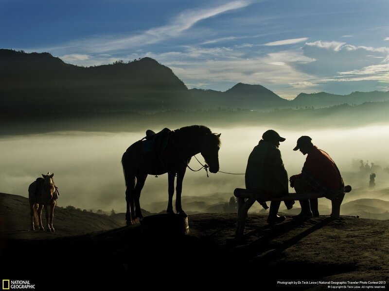 Two Men with Horses