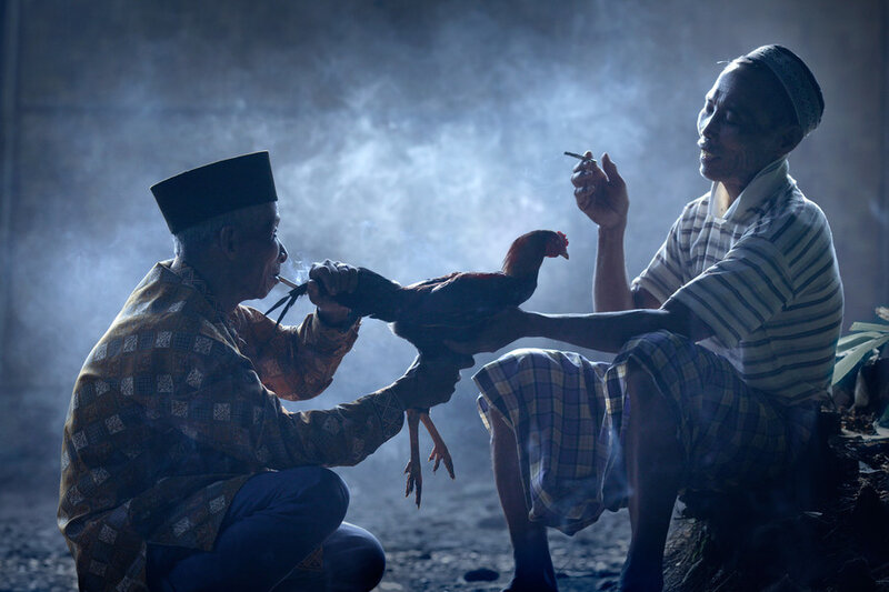 Two Men with Rooster