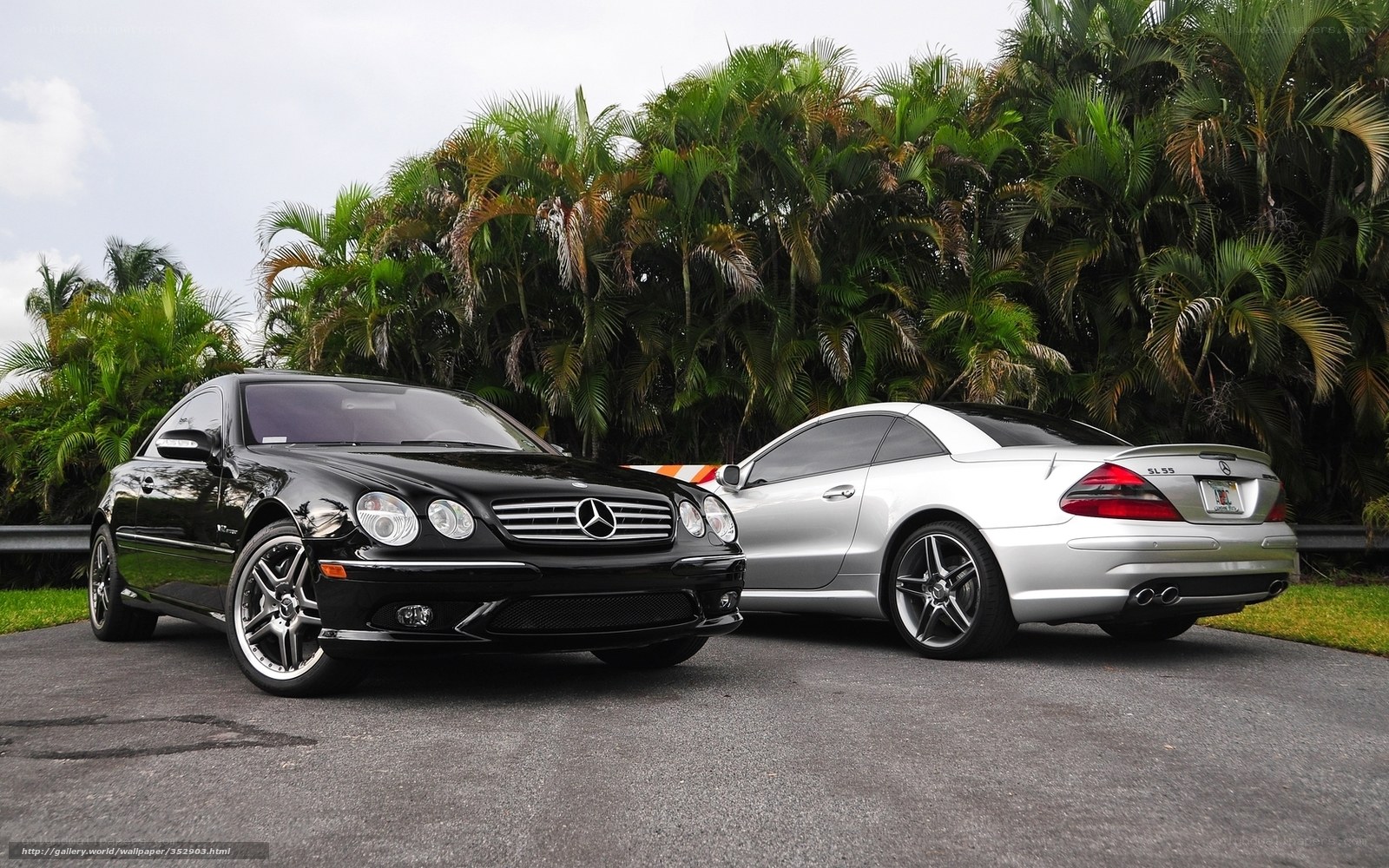 Two Mercedes-Benz cars in tropical setting