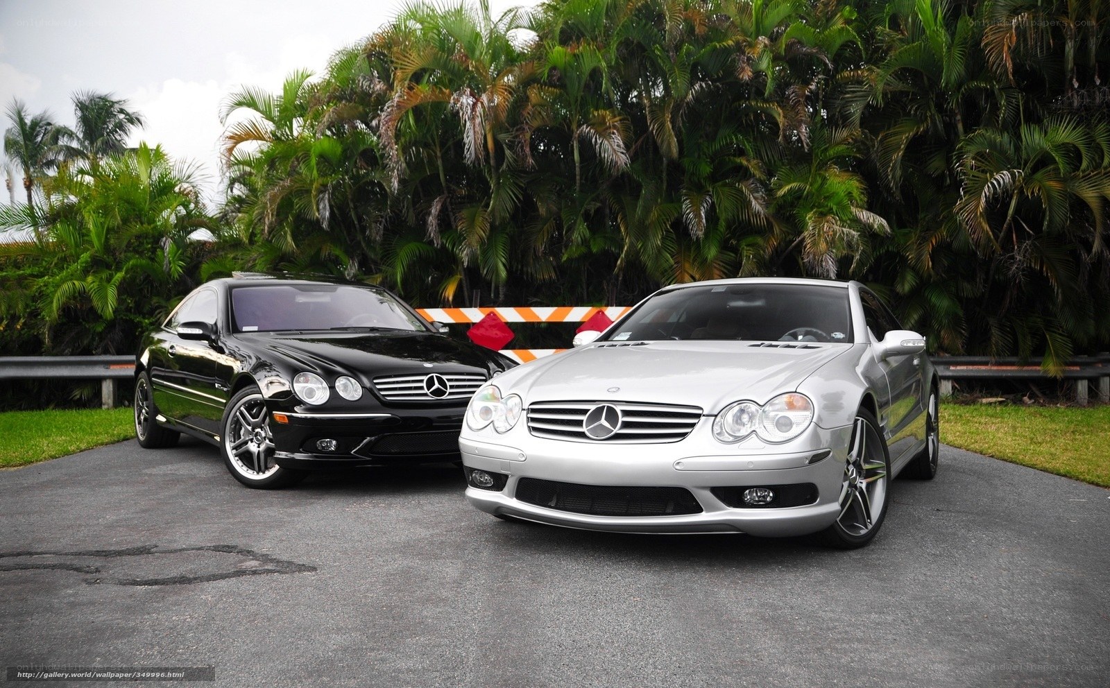 Two Mercedes-Benz cars in tropical setting