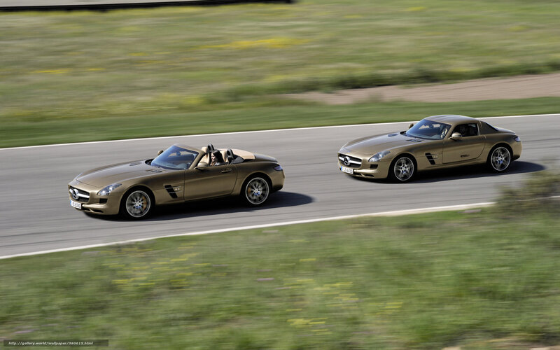 Two Mercedes-Benz SLS cars on track