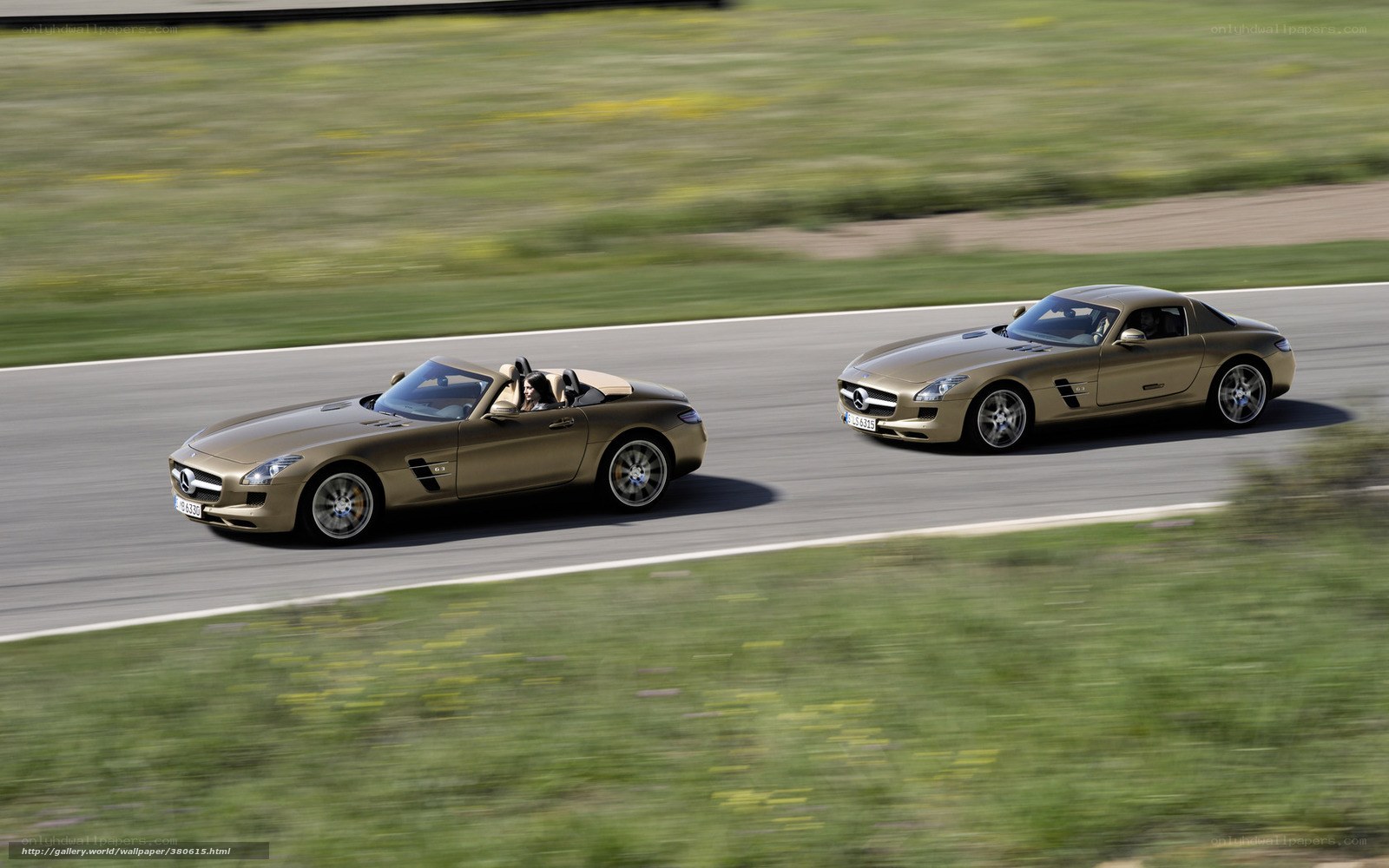 Two Mercedes-Benz SLS cars on track