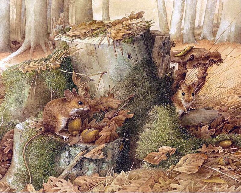 Two Mice in Forest — Brown