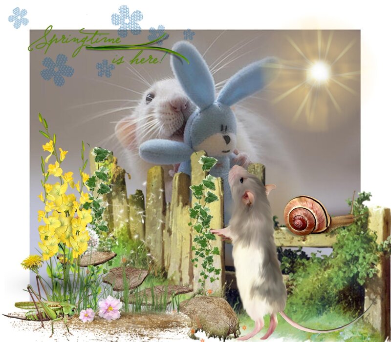 Two Mice in Garden