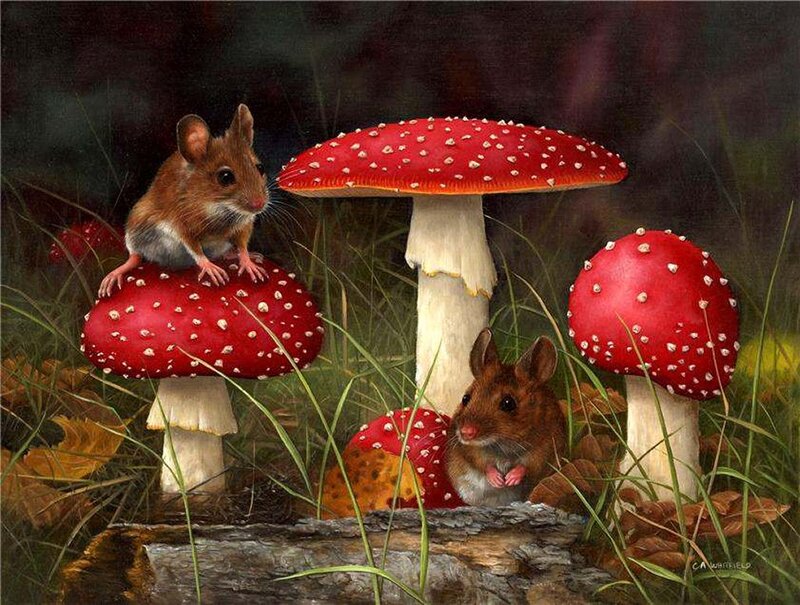 Two Mice in Mushrooms