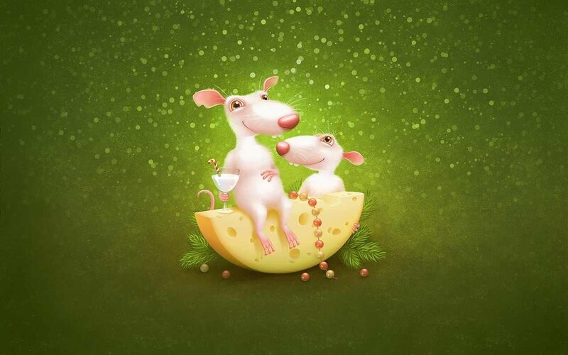 Two mice on a cheese wedge