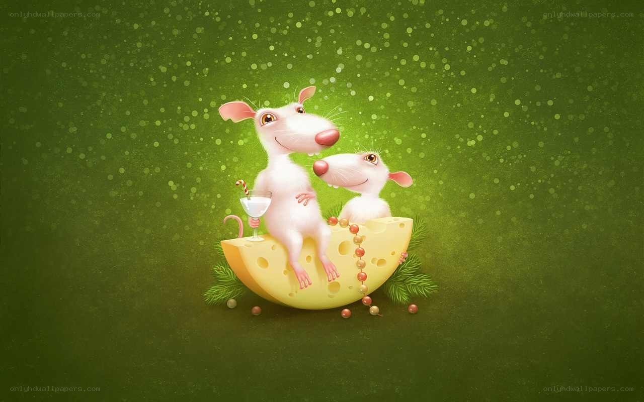 Two mice on a cheese wedge