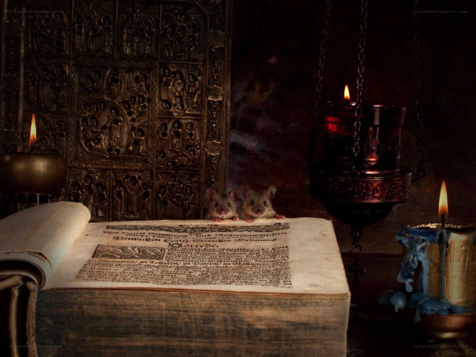 Two mice on an old book