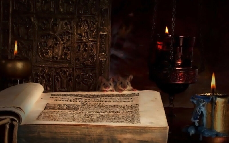 Two Mice on Book — Brown