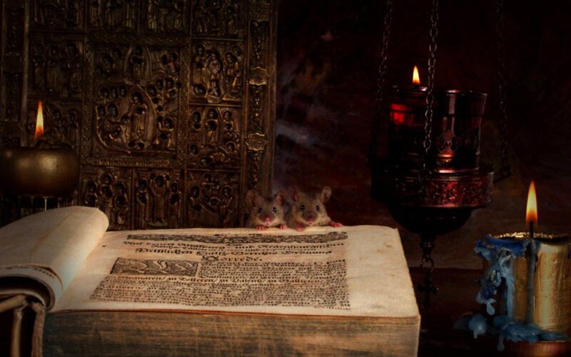 Two Mice on Book