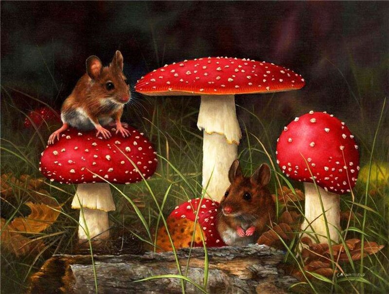 Two Mice on Mushrooms — Red, Serene