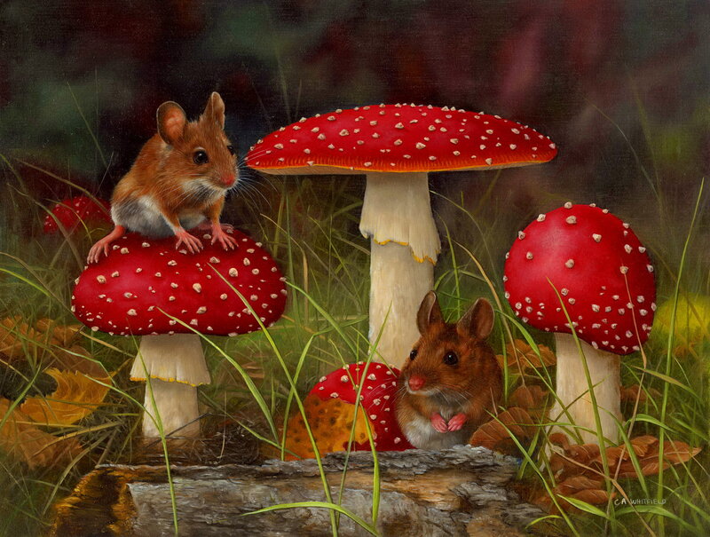 Two Mice on Mushrooms — Red