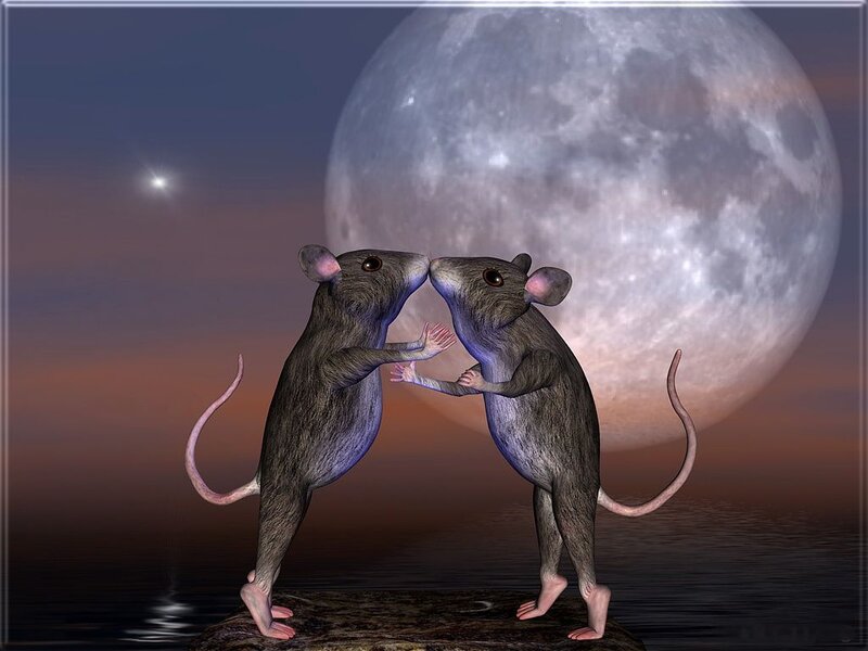 Two Mice Standing