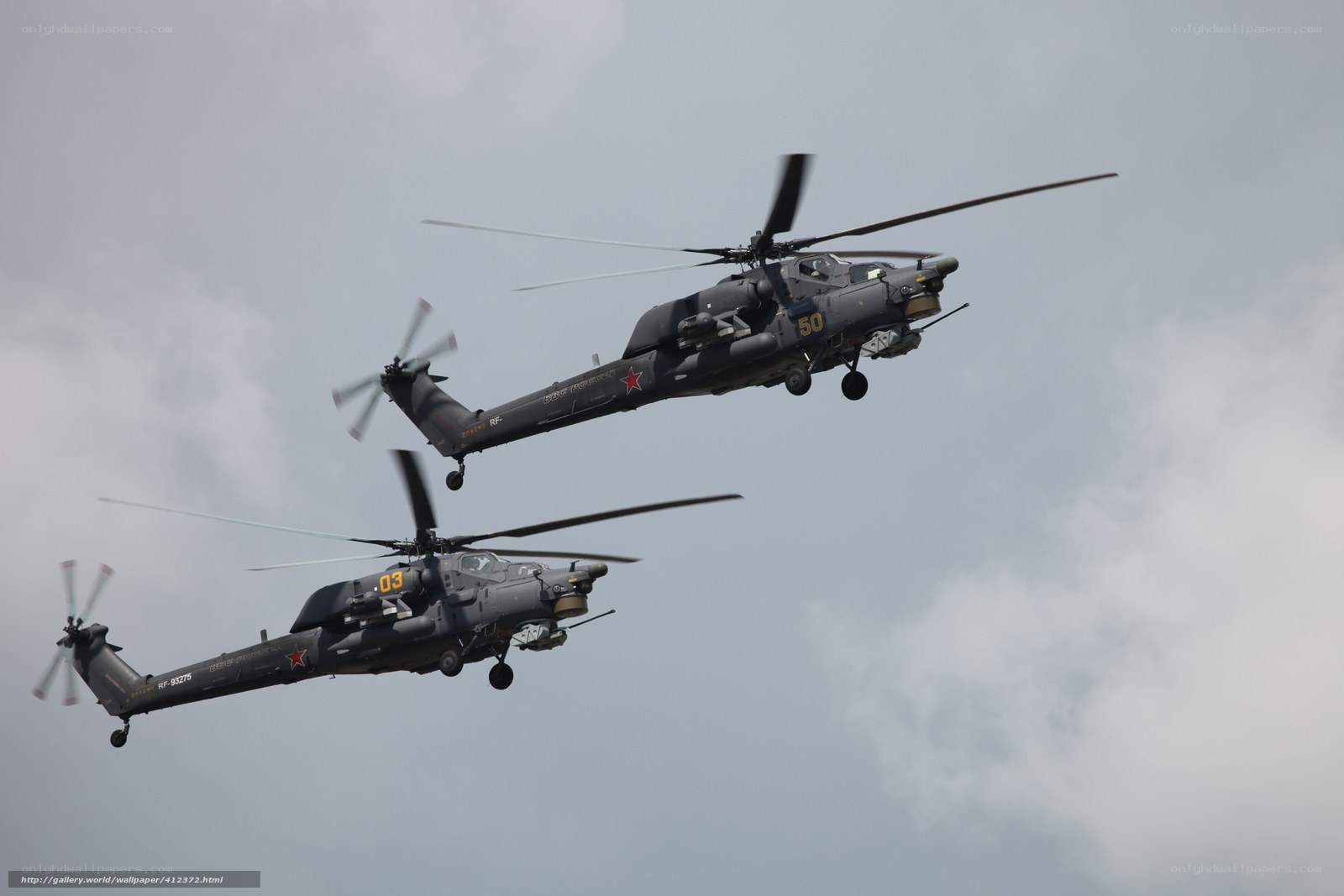 Two military helicopters in flight