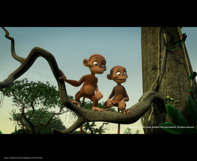 Two monkeys on a tree branch