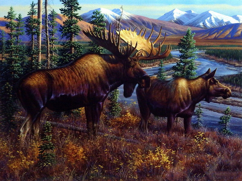 Two Moose in Forest — Brown