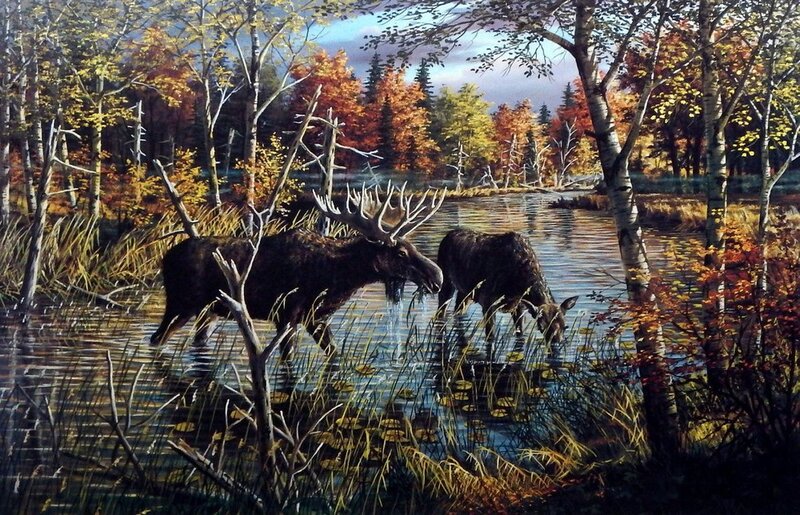 Two Moose in Water — Brown