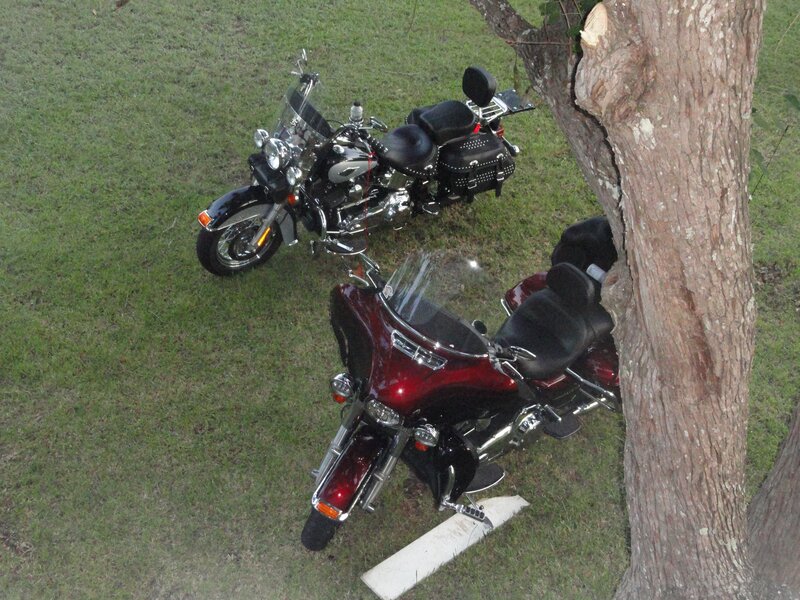 Two Motorcycles on Grass