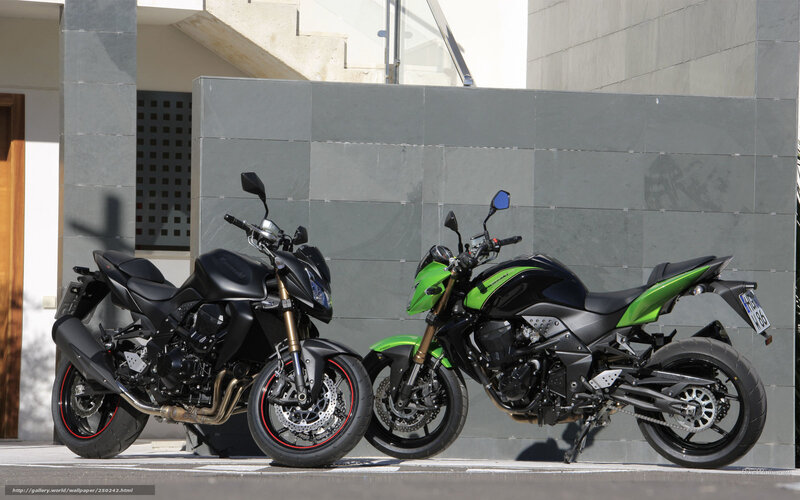 Two Motorcycles Parked — Black, Neutral, Afternoon
