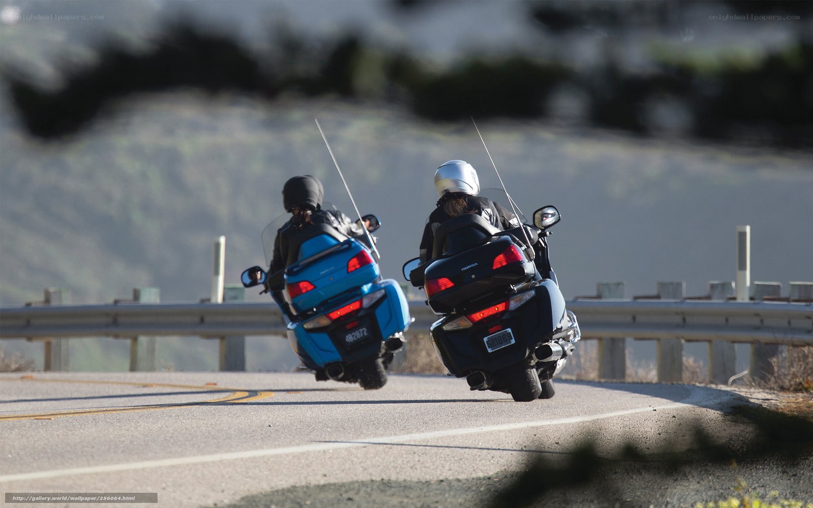 Two motorcyclists on a road