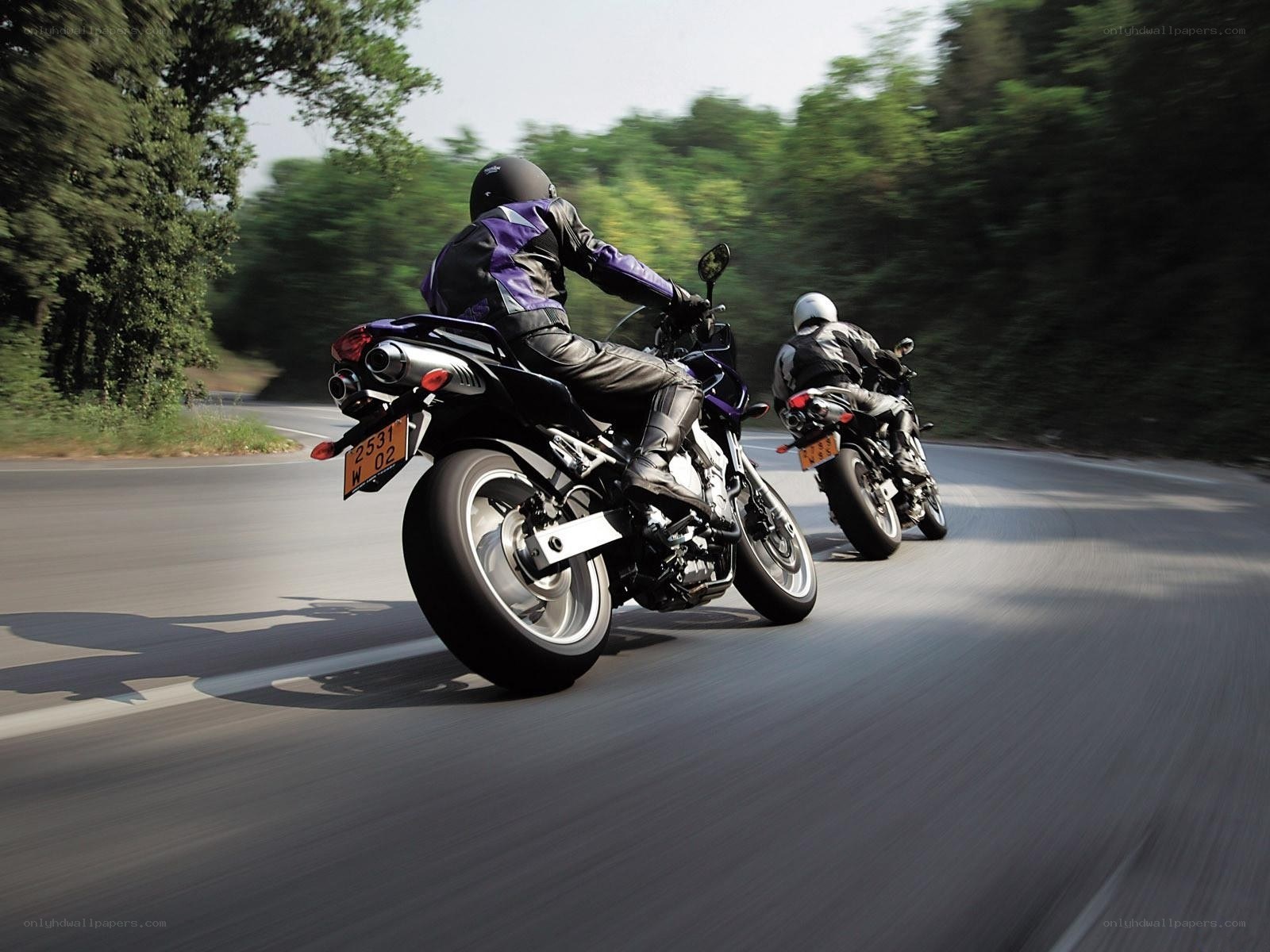 Two motorcyclists on a winding road