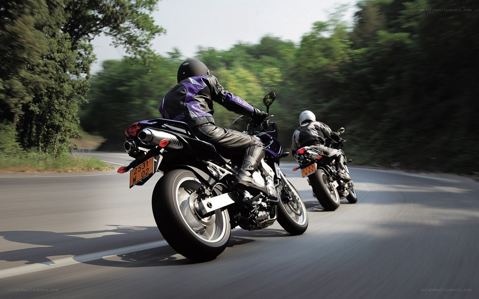 Two motorcyclists on a winding road