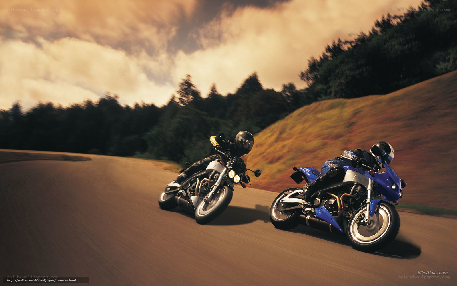 Two motorcyclists on a winding road