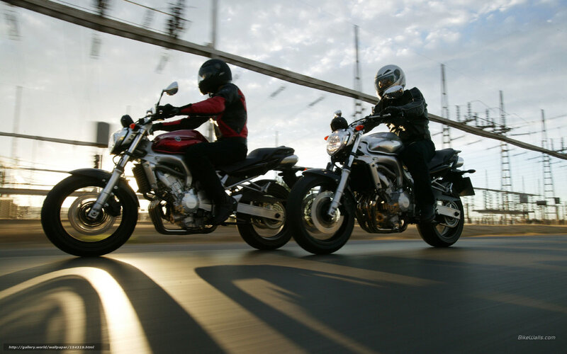 Two Motorcyclists on Road — Silver, Dynamic