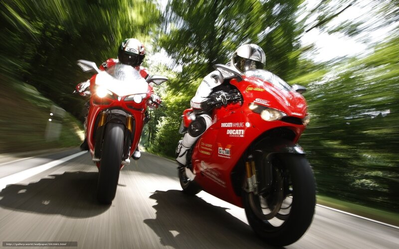 Two motorcyclists racing on a road