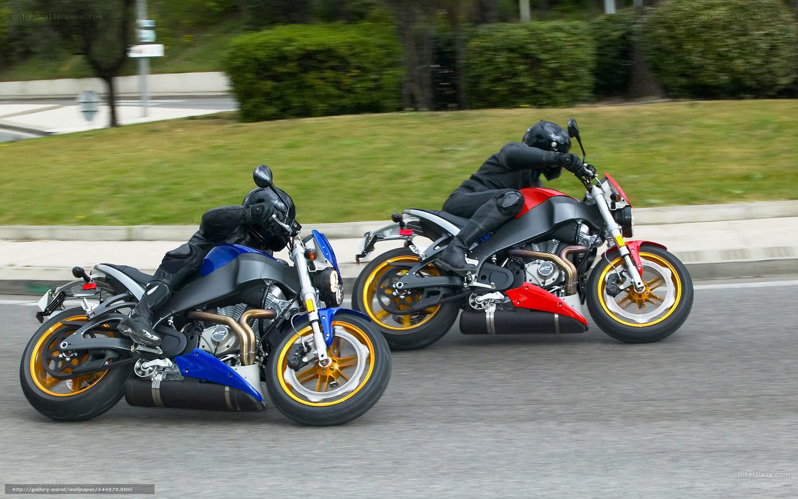Two motorcyclists racing on road