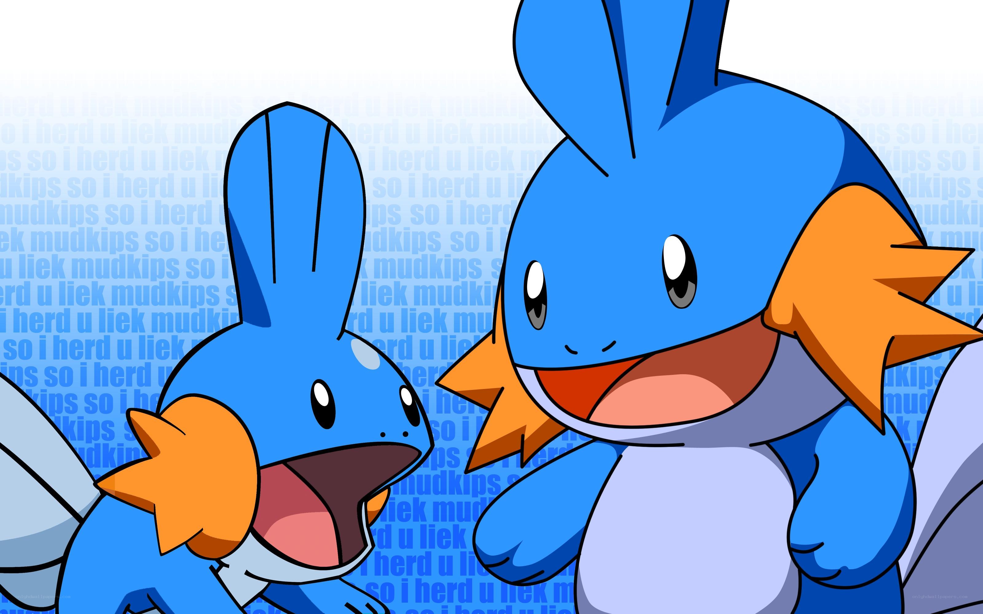 Two Mudkip Pokémon together