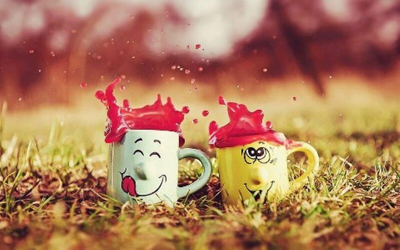 Two Mugs in Grass
