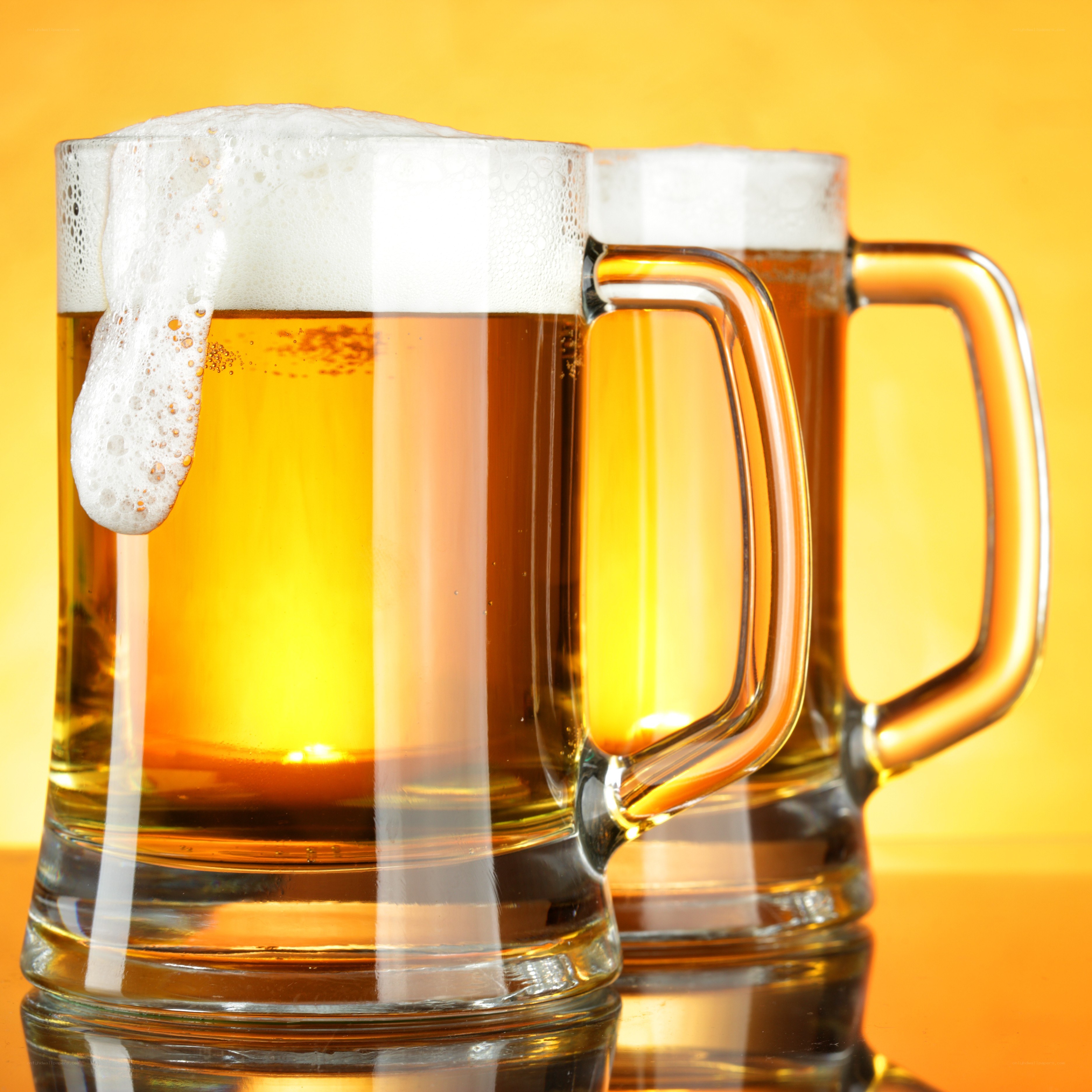 Two mugs of beer