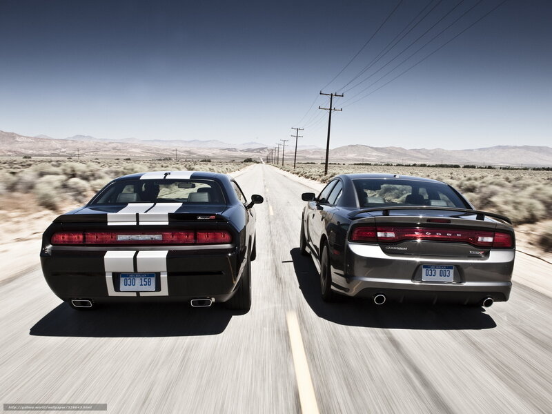 Two Muscle Cars — Black, Dynamic