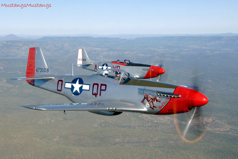 Two Mustangs in flight