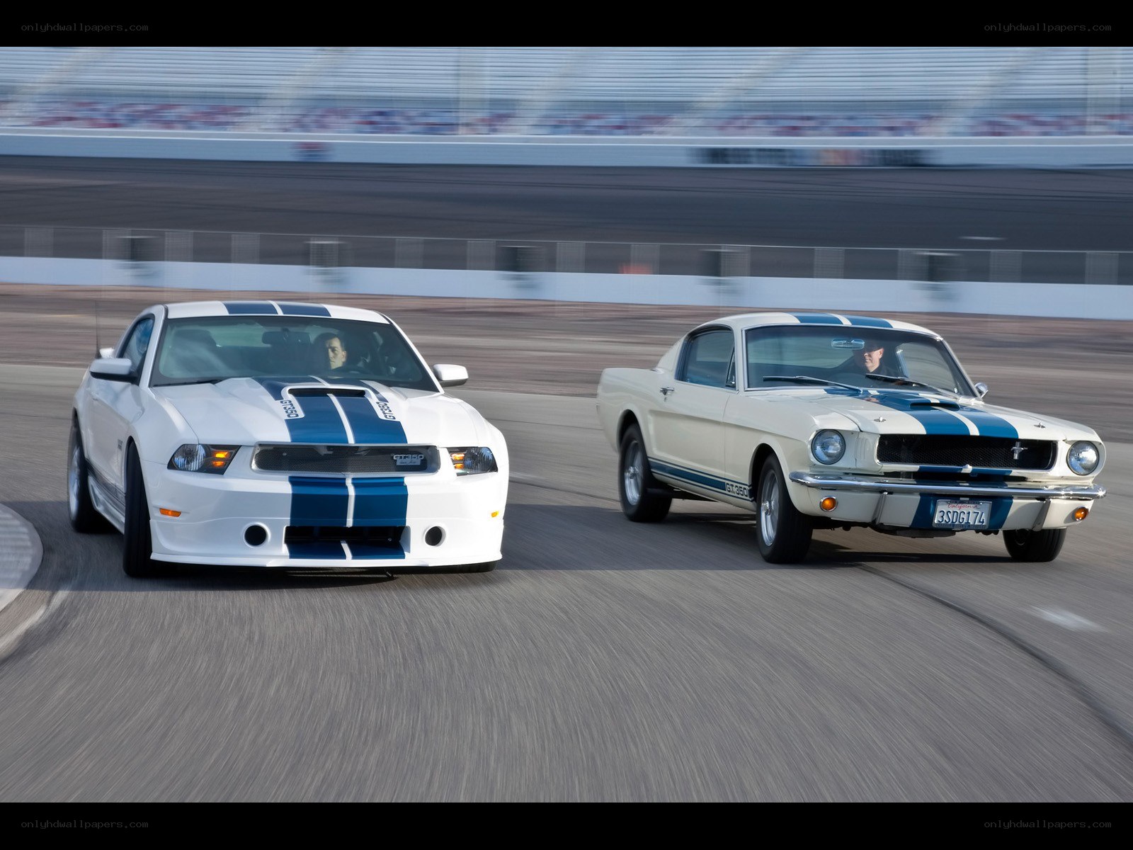 Two Mustangs racing on a track